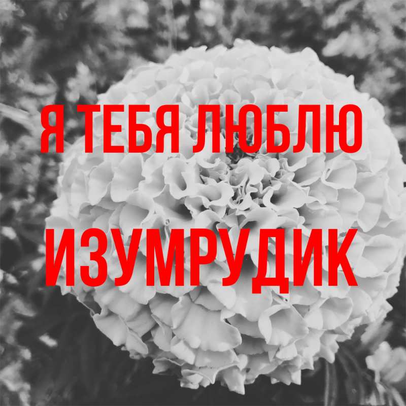 Картинка Я тебя люблю, изумрудик