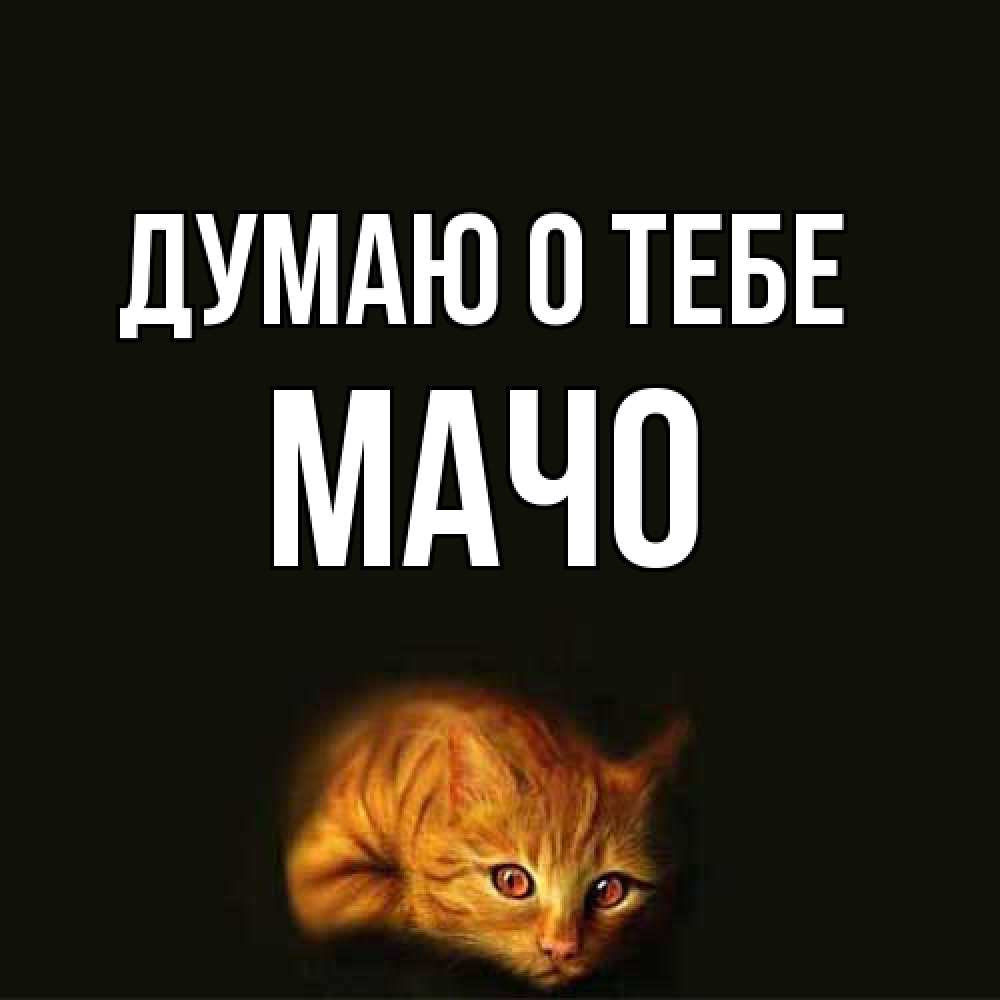 Открытка на каждый день с именем, Мачо Думаю о тебе рыжий Прикольная открытка с пожеланием онлайн скачать бесплатно 