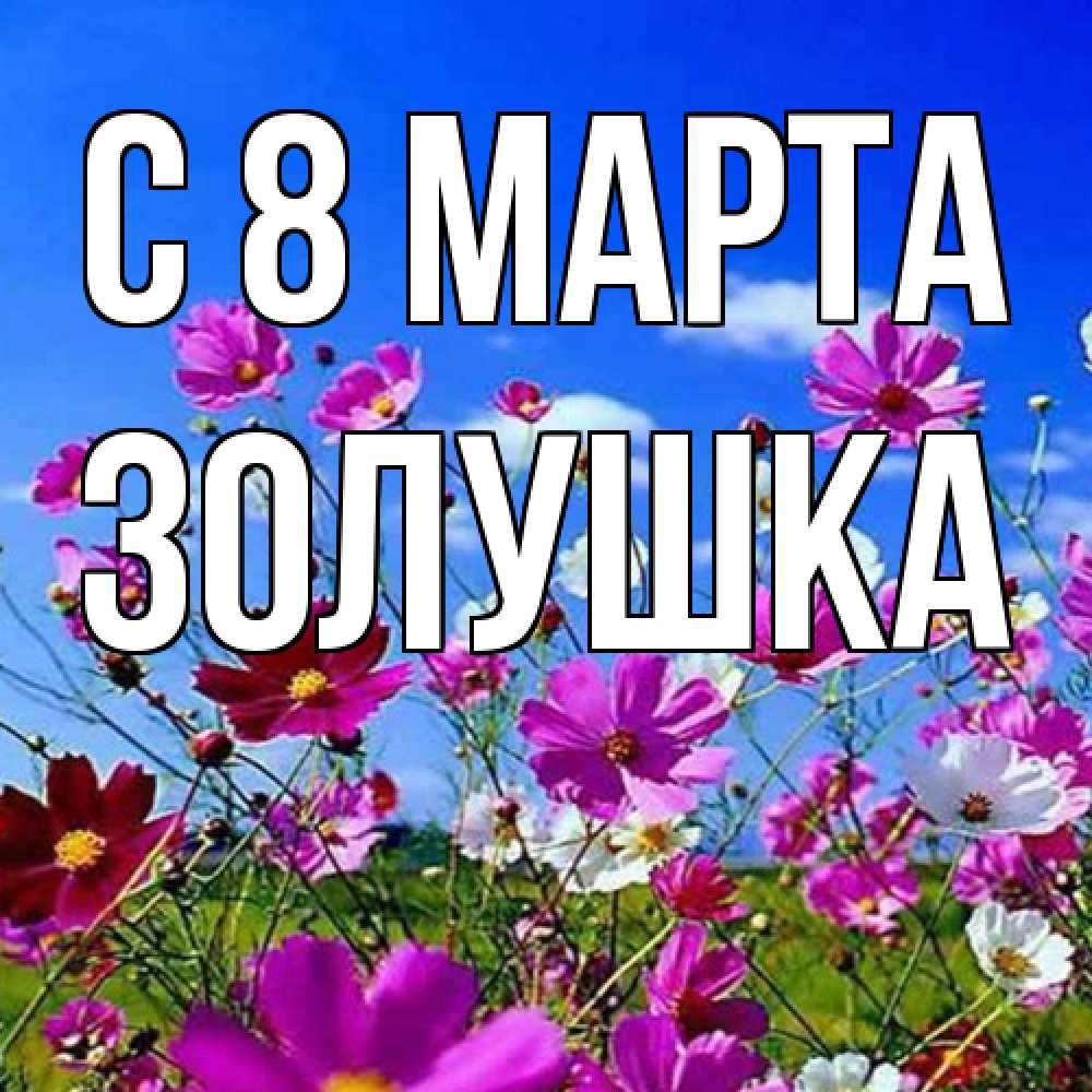 Открытка на каждый день с именем, Золушка C 8 МАРТА цветы Прикольная открытка с пожеланием онлайн скачать бесплатно 