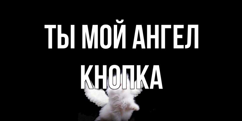 Открытка на каждый день с именем, Кнопка Ты мой ангел Кот ангел Прикольная открытка с пожеланием онлайн скачать бесплатно 