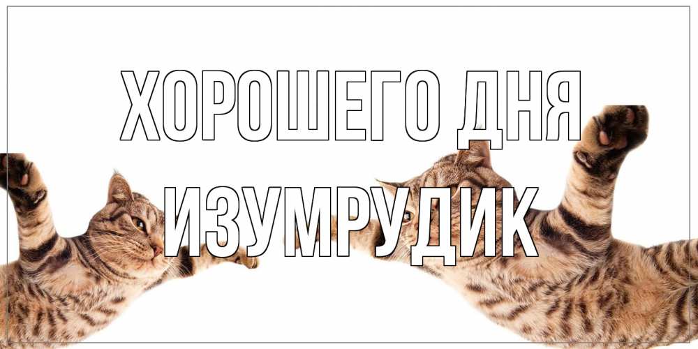 Открытка на каждый день с именем, изумрудик Хорошего дня хорошего дня Прикольная открытка с пожеланием онлайн скачать бесплатно 