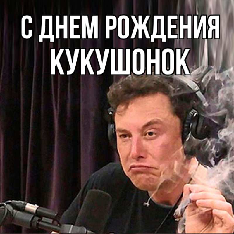 Картинка С днем рождения, кукушонок