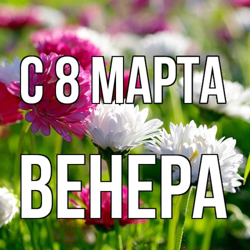Картинка C 8 МАРТА, Венера