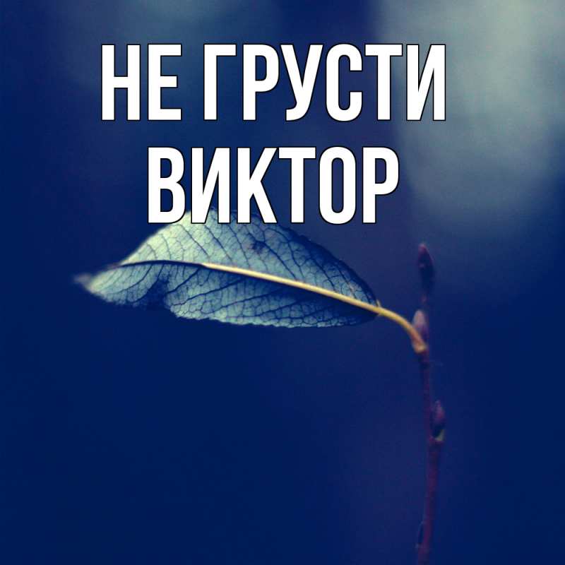 Картинка Не грусти, Виктор
