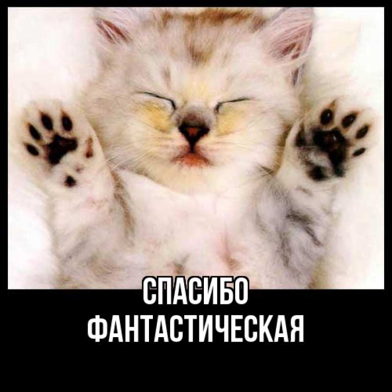 Картинка Спасибо, Фантастическая