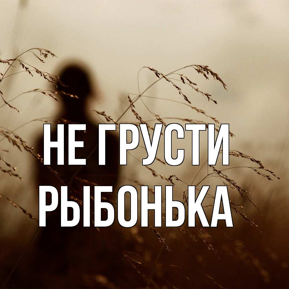 Открытка на каждый день с именем, Рыбонька Не грусти грусть Прикольная открытка с пожеланием онлайн скачать бесплатно 