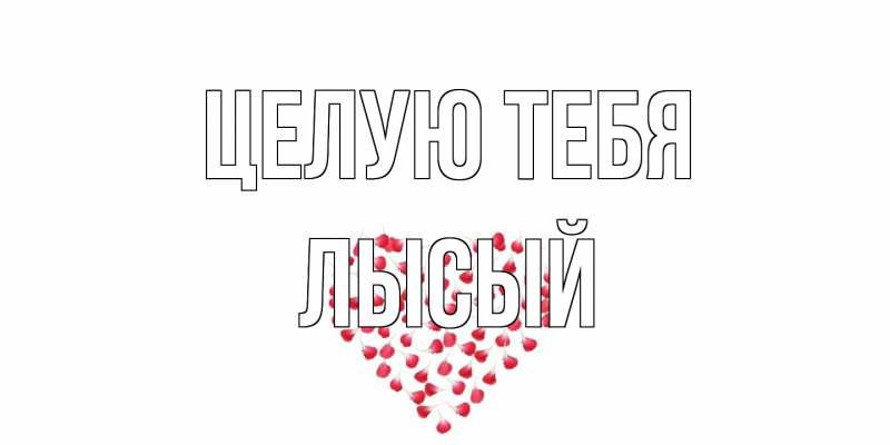 Картинка Целую тебя, Лысый