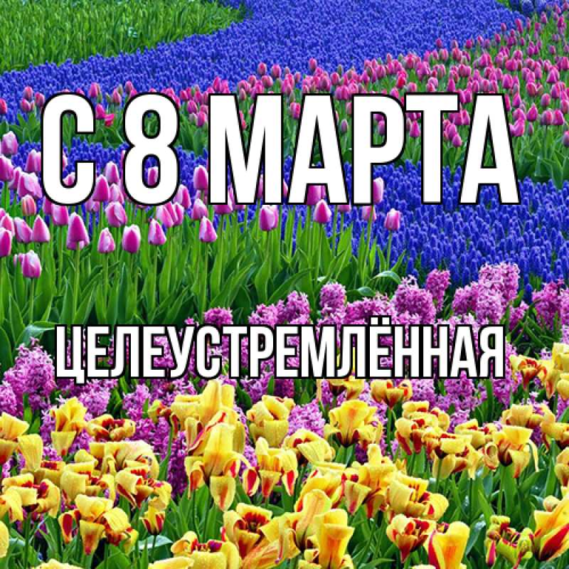 Картинка C 8 МАРТА, Целеустремлённая