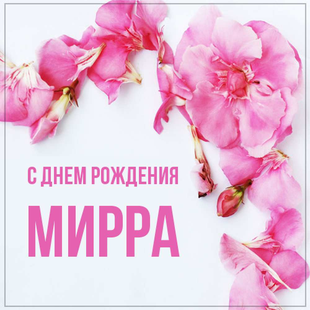 Открытка на каждый день с именем, Мирра С днем рождения Красивая открытка для поздравления с днем рождения Прикольная открытка с пожеланием онлайн скачать бесплатно 