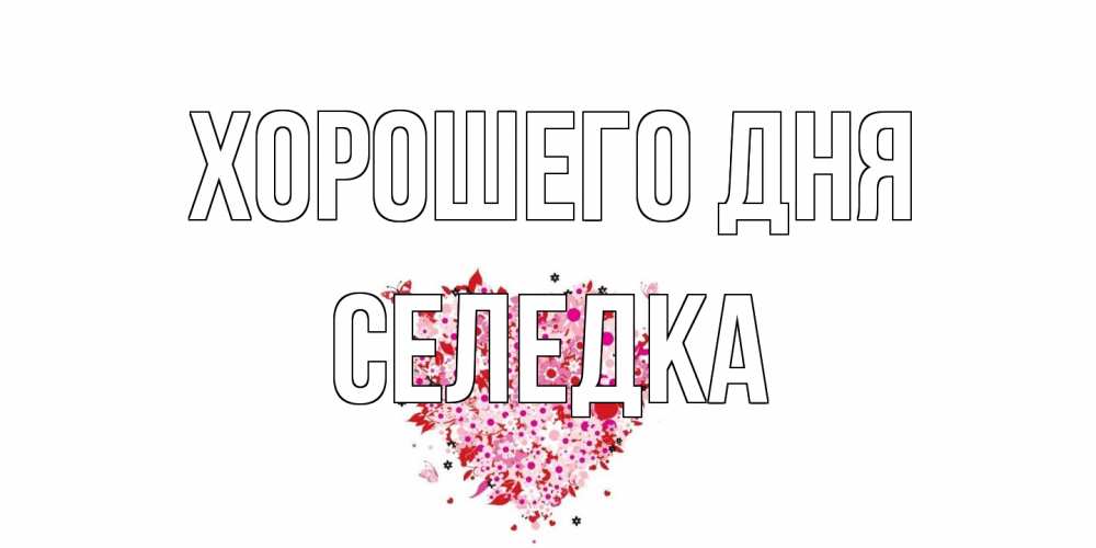 Открытка на каждый день с именем, Селедка Хорошего дня открытка на каждый день для любимой Прикольная открытка с пожеланием онлайн скачать бесплатно 