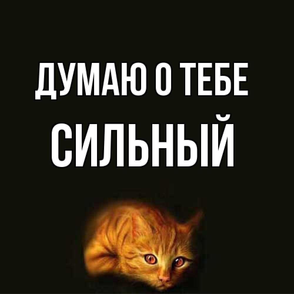 Открытка на каждый день с именем, Сильный Думаю о тебе рыжий Прикольная открытка с пожеланием онлайн скачать бесплатно 