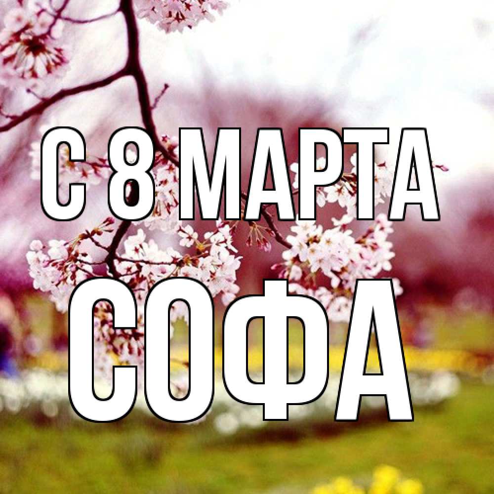 Открытка на каждый день с именем, Софа C 8 МАРТА яблоня Прикольная открытка с пожеланием онлайн скачать бесплатно 