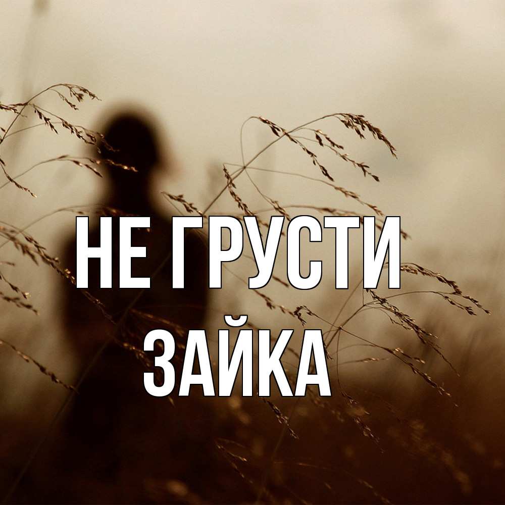 Открытка на каждый день с именем, Зайка Не грусти грусть Прикольная открытка с пожеланием онлайн скачать бесплатно 