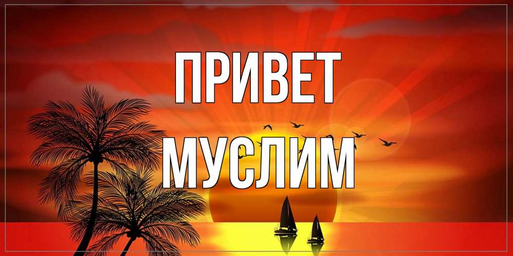 Открытка на каждый день с именем, Муслим Привет привет Прикольная открытка с пожеланием онлайн скачать бесплатно 