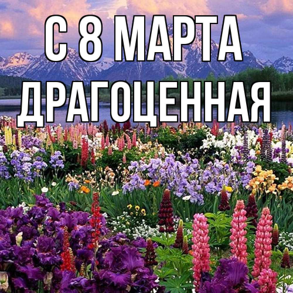 Открытка на каждый день с именем, Драгоценная C 8 МАРТА международный женский день Прикольная открытка с пожеланием онлайн скачать бесплатно 