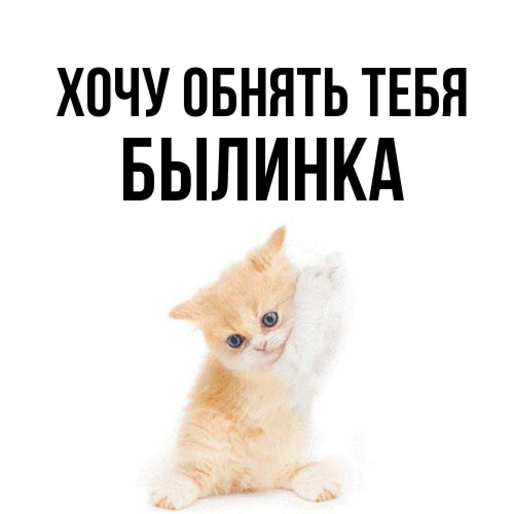 Открытка на каждый день с именем, былинка Хочу обнять тебя я хочу очень скорее обнимаешек Прикольная открытка с пожеланием онлайн скачать бесплатно 