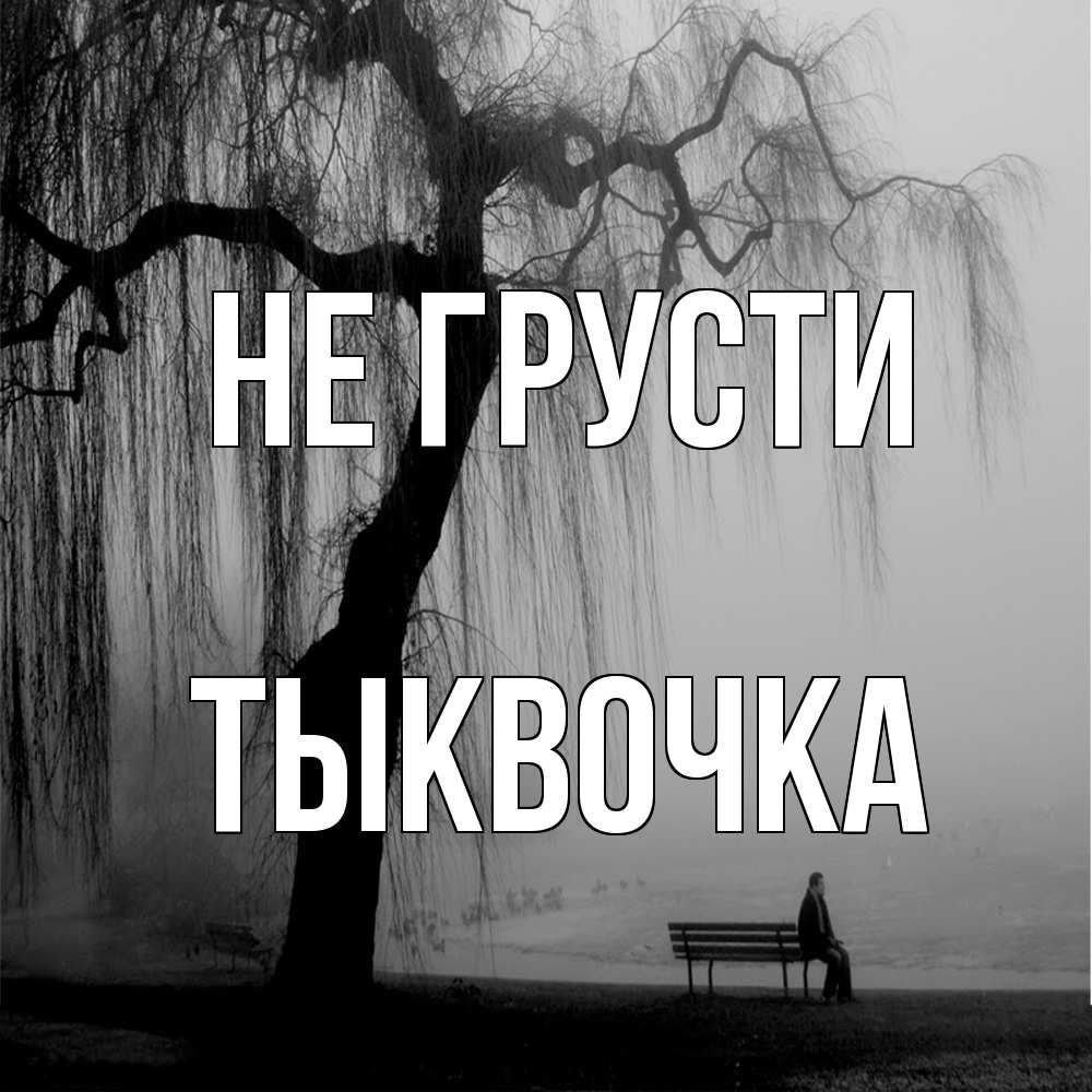 Открытка на каждый день с именем, тыквочка Не грусти висящие ветки дерева и лавочка под деревом Прикольная открытка с пожеланием онлайн скачать бесплатно 