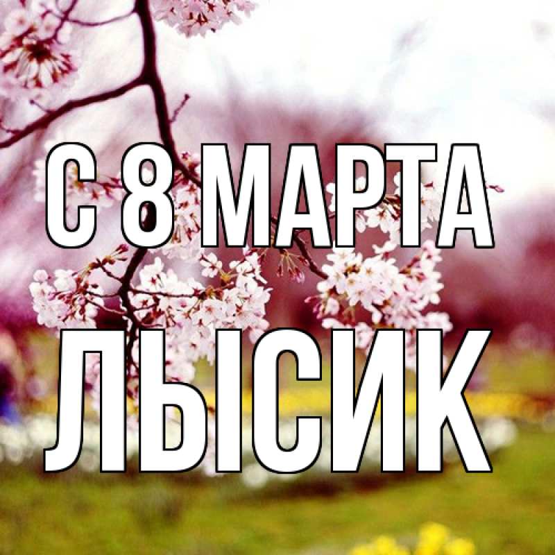 Картинка C 8 МАРТА, Лысик