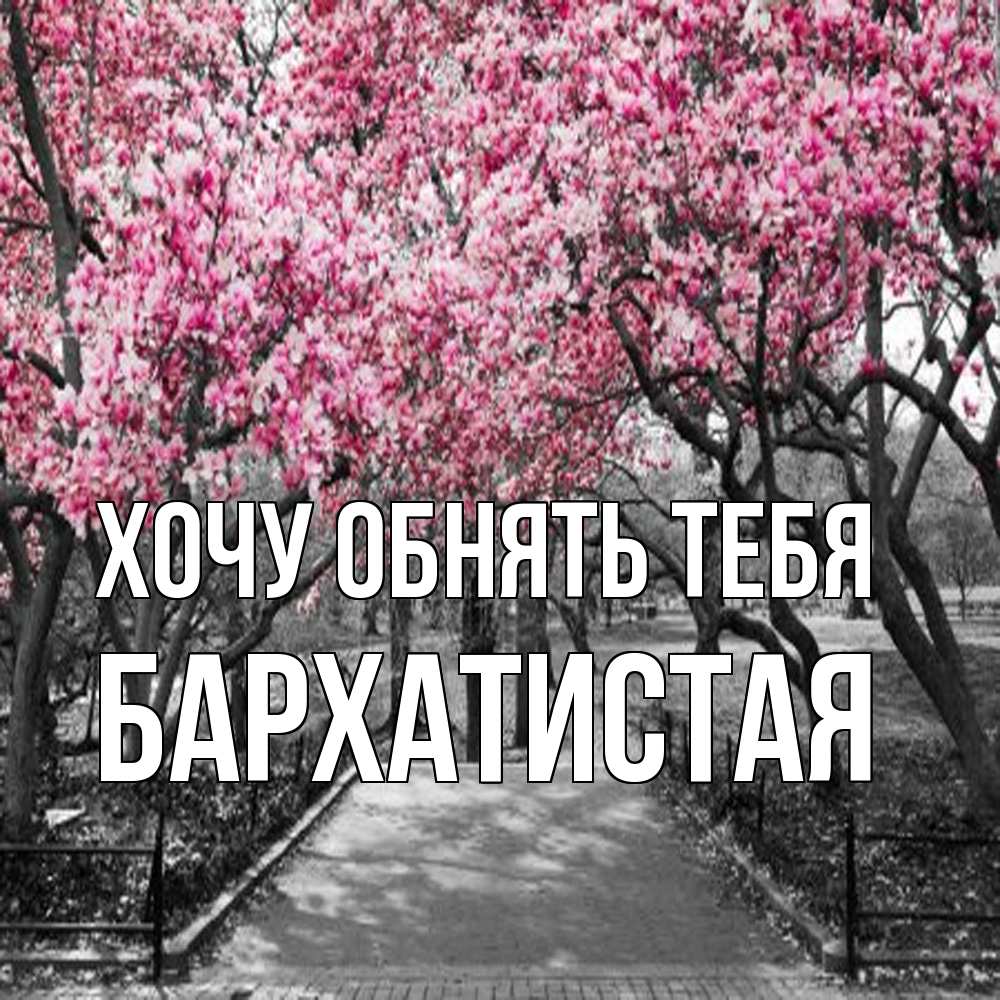 Открытка на каждый день с именем, Бархатистая Хочу обнять тебя обработанное фото Прикольная открытка с пожеланием онлайн скачать бесплатно 
