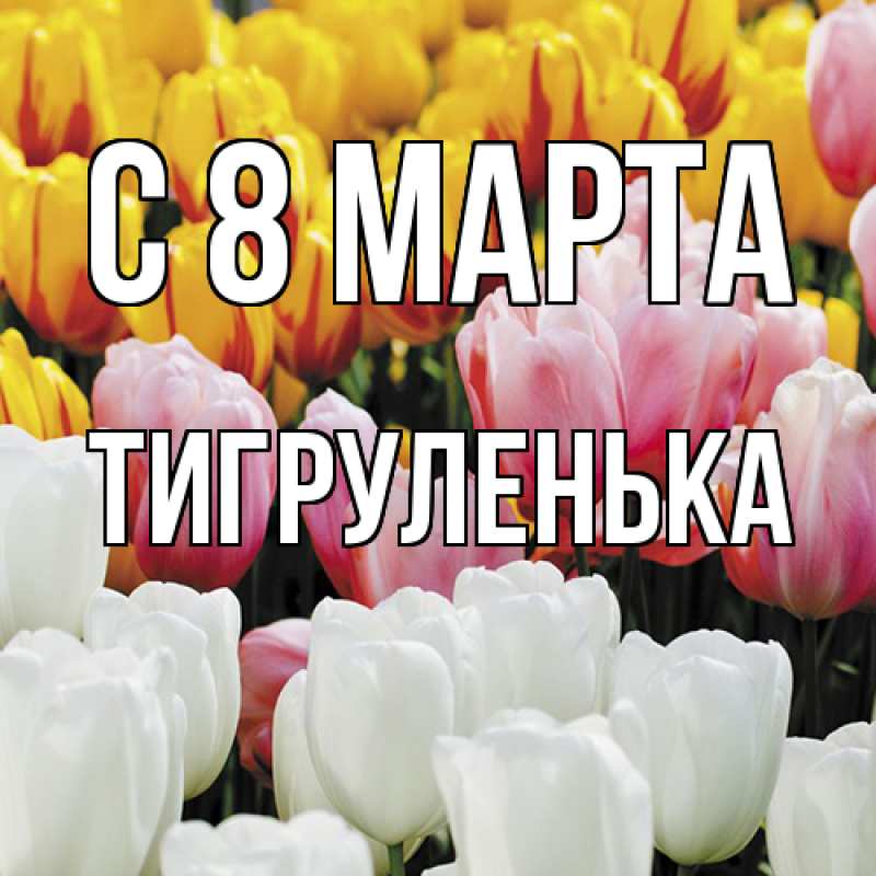 Картинка C 8 МАРТА, Тигpуленька