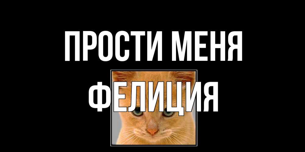 Открытка на каждый день с именем, Фелиция Прости меня рыжий грустный кот просит прощения Прикольная открытка с пожеланием онлайн скачать бесплатно 