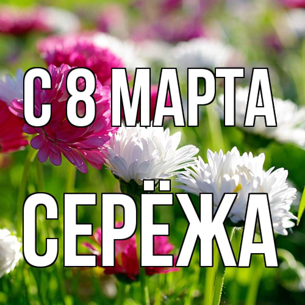 Открытка на каждый день с именем, Серёжа C 8 МАРТА международный женский день 1 Прикольная открытка с пожеланием онлайн скачать бесплатно 