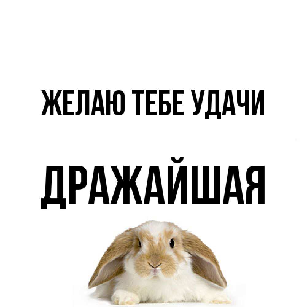 Открытка на каждый день с именем, дражайшая Желаю тебе удачи открытки с произвольным текстом который можно вставить в открытку и создать ее самостоятельно бесплатно онлайн Прикольная открытка с пожеланием онлайн скачать бесплатно 