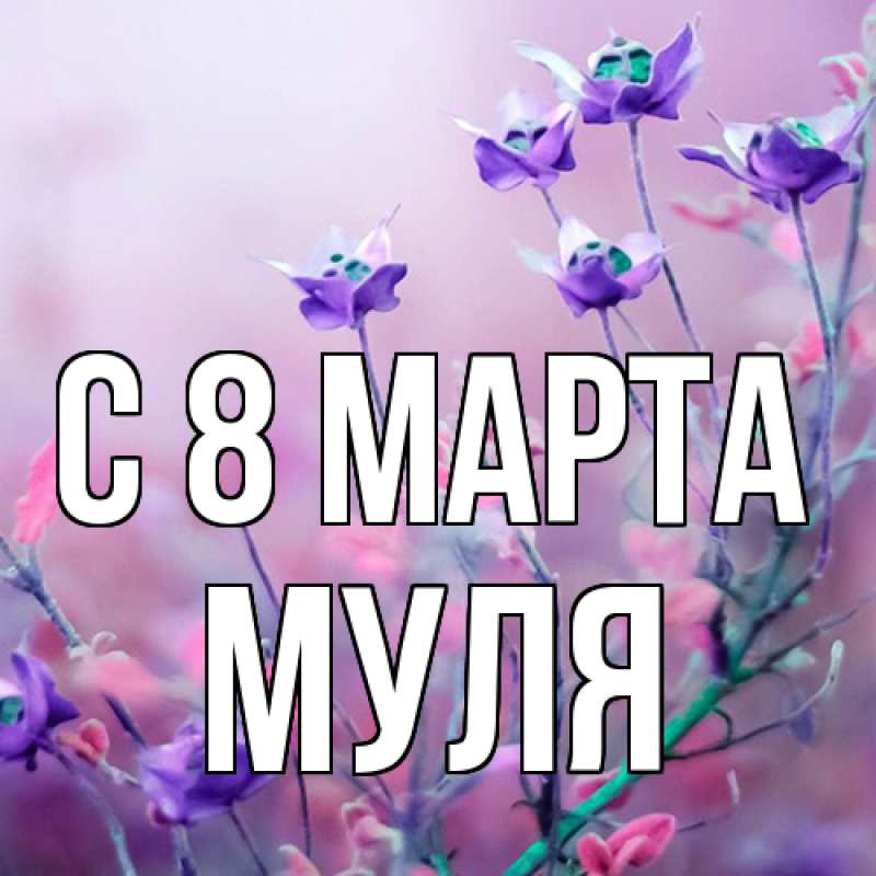 Картинка C 8 МАРТА, Муля
