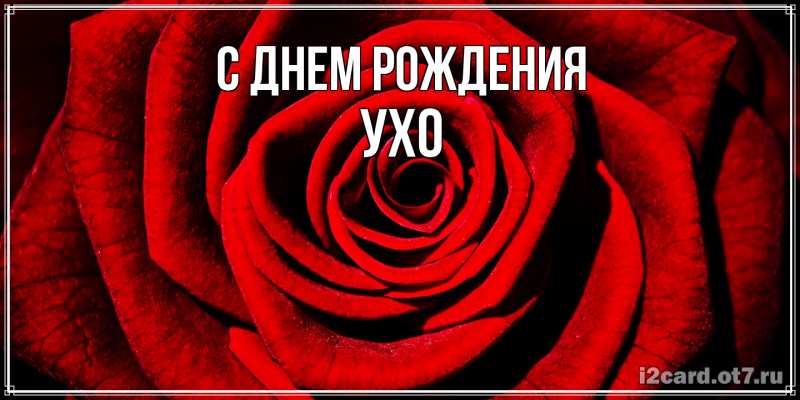 Картинка С днем рождения, Ухо