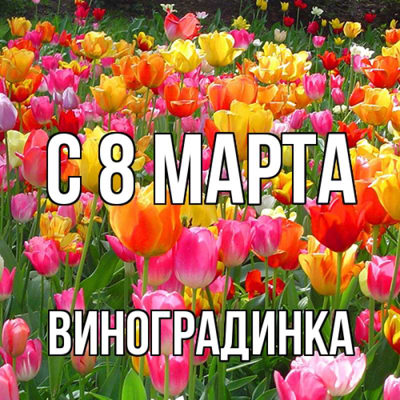 Картинка C 8 МАРТА, виноградинка