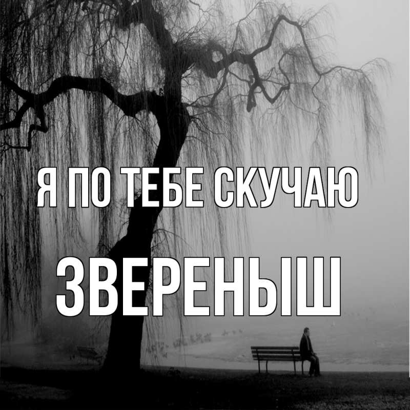 Картинка Я по тебе скучаю, звеpеныш