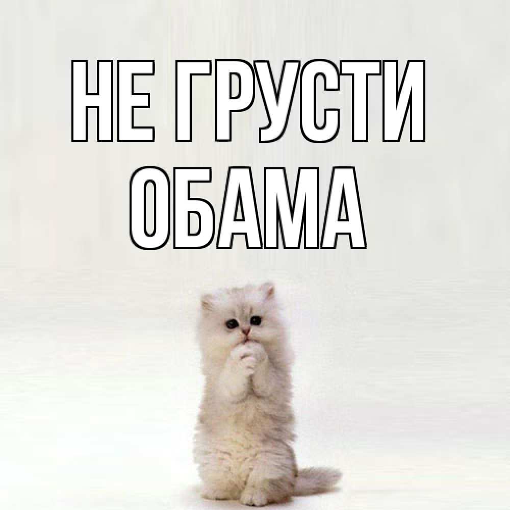 Открытка на каждый день с именем, Обама Не грусти грустный кот Прикольная открытка с пожеланием онлайн скачать бесплатно 