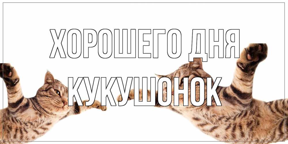 Открытка на каждый день с именем, кукушонок Хорошего дня хорошего дня Прикольная открытка с пожеланием онлайн скачать бесплатно 