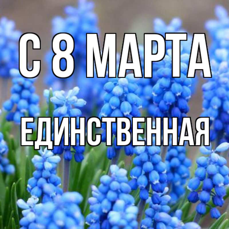 Картинка C 8 МАРТА, Единственная