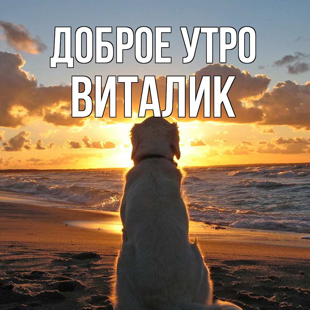 Открытка на каждый день с именем, Виталик Доброе утро восход солнца Прикольная открытка с пожеланием онлайн скачать бесплатно 