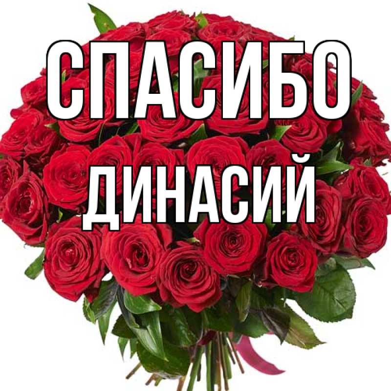 Картинка Спасибо, Динасий