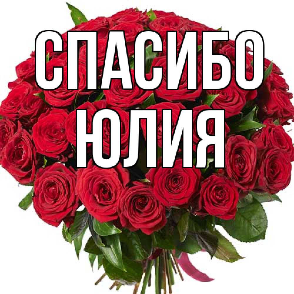 Открытка на каждый день с именем, Юлия Спасибо букет красных роз Прикольная открытка с пожеланием онлайн скачать бесплатно 