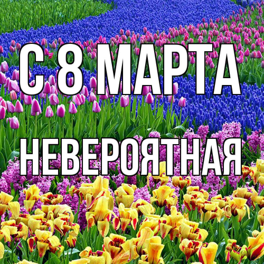 Открытка на каждый день с именем, невероятная C 8 МАРТА цветы Прикольная открытка с пожеланием онлайн скачать бесплатно 