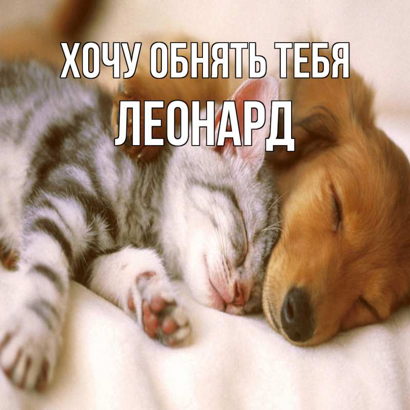Картинка Хочу обнять тебя, Леонард
