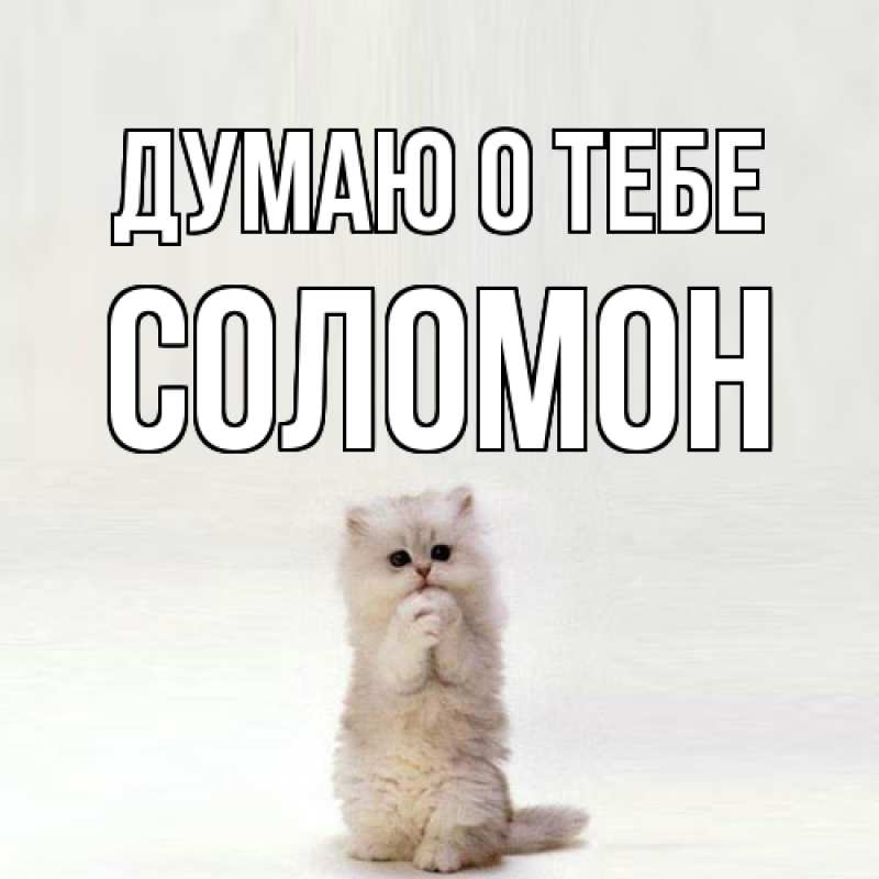 Картинка Думаю о тебе, Соломон