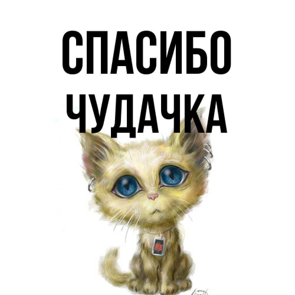 Открытка на каждый день с именем, Чудачка Спасибо рисованный кот благодарит вас Прикольная открытка с пожеланием онлайн скачать бесплатно 