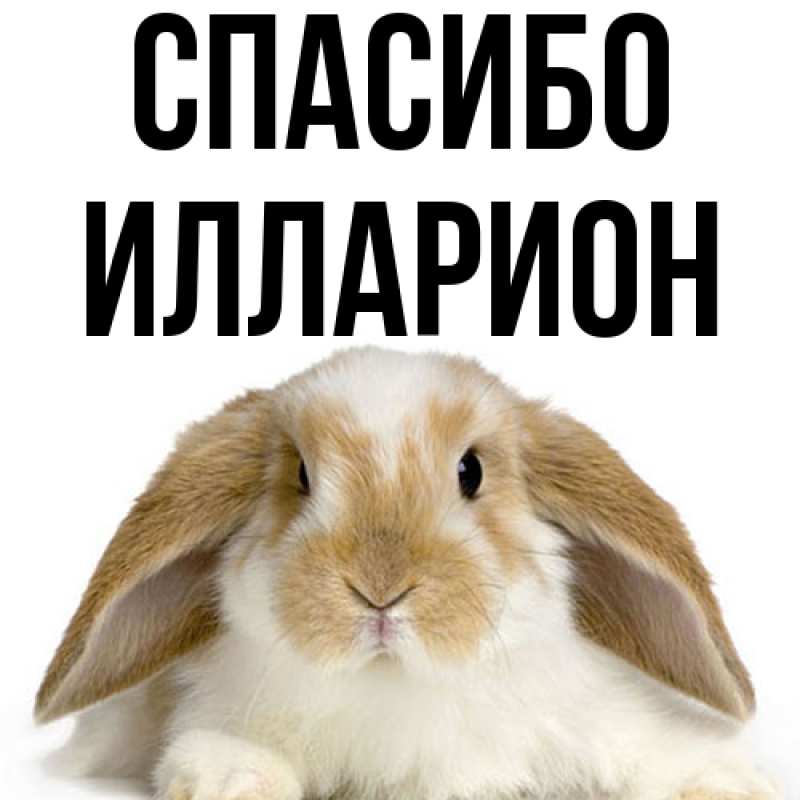 Картинка Спасибо, Илларион