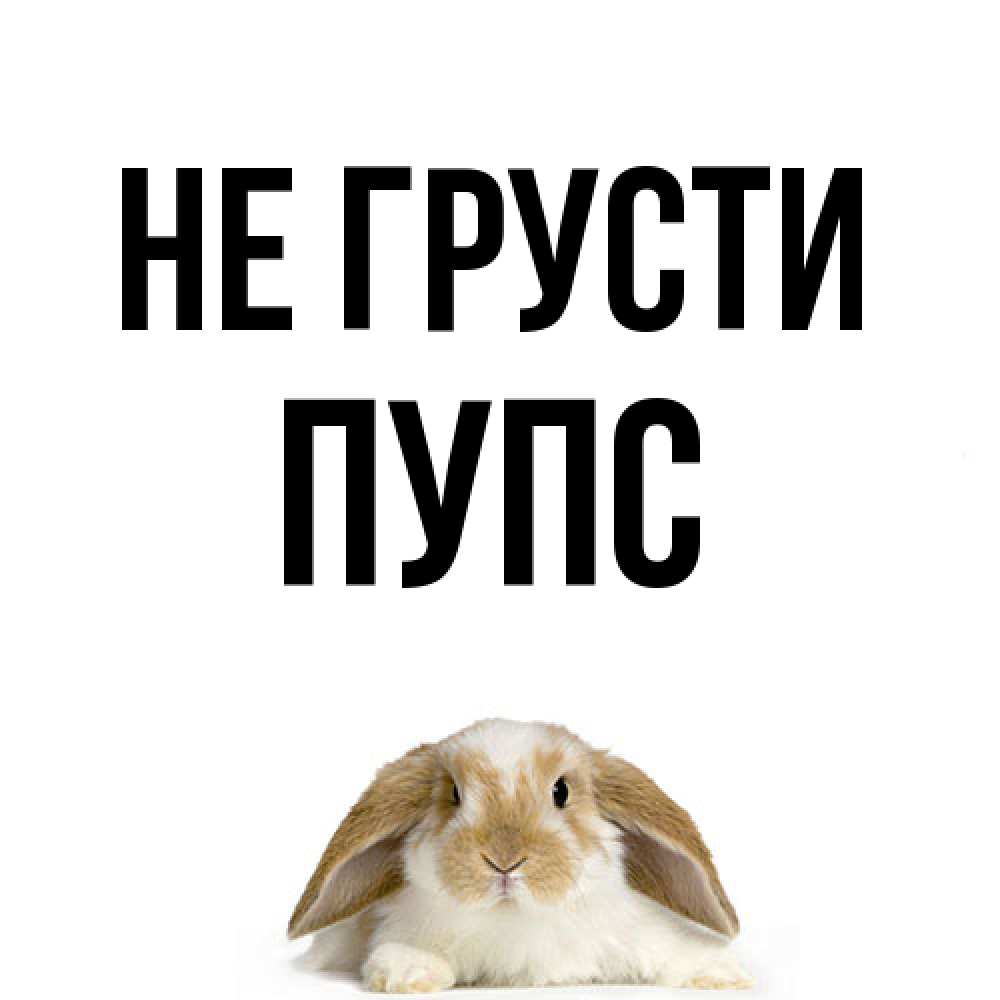Открытка на каждый день с именем, Пупс Не грусти коричнево белый заяц с большими ушками Прикольная открытка с пожеланием онлайн скачать бесплатно 