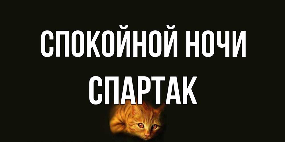 Открытка на каждый день с именем, Спартак Спокойной ночи кот Прикольная открытка с пожеланием онлайн скачать бесплатно 