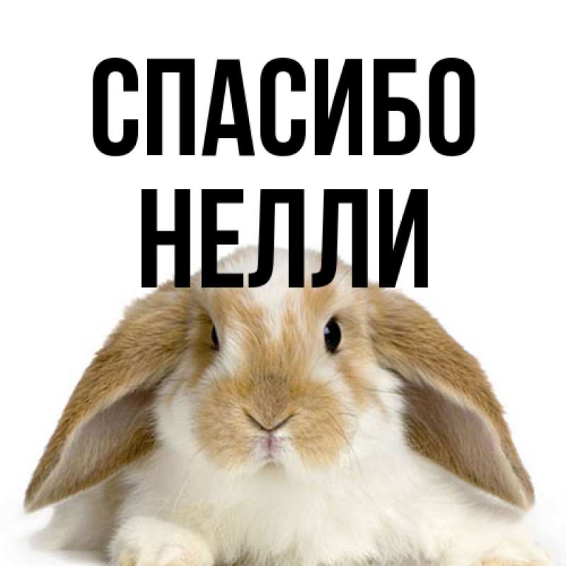 Картинка Спасибо, Нелли