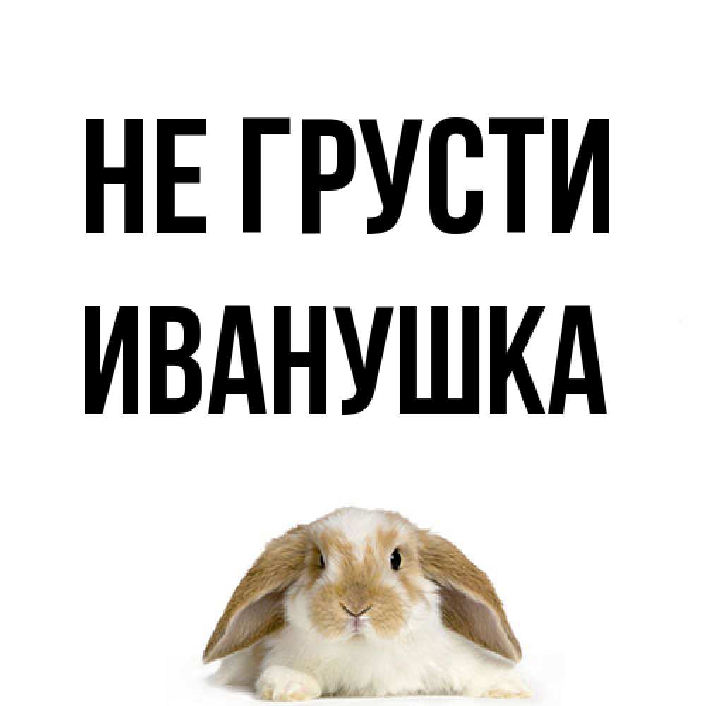 Открытка на каждый день с именем, Иванушка Не грусти коричнево белый заяц с большими ушками Прикольная открытка с пожеланием онлайн скачать бесплатно 
