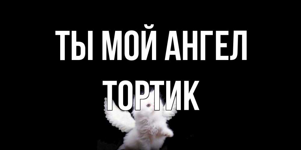 Открытка на каждый день с именем, Тортик Ты мой ангел Кот ангел Прикольная открытка с пожеланием онлайн скачать бесплатно 