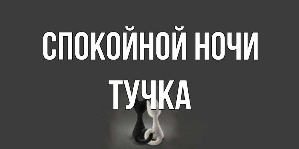 Открытка на каждый день с именем, Тучка Спокойной ночи коты Прикольная открытка с пожеланием онлайн скачать бесплатно 