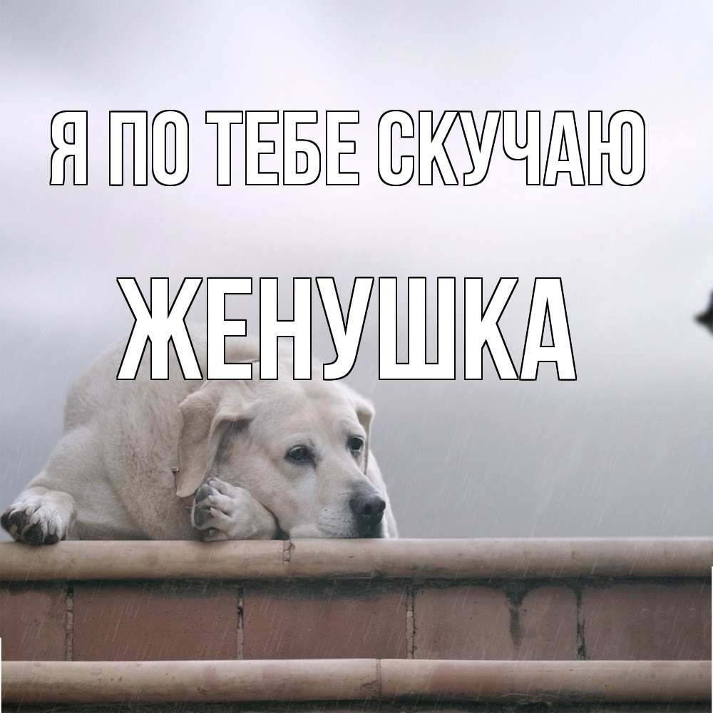 Открытка на каждый день с именем, женушка Я по тебе скучаю ждет Прикольная открытка с пожеланием онлайн скачать бесплатно 