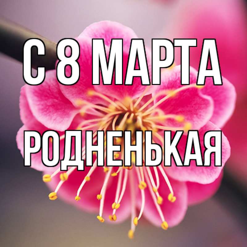 Картинка C 8 МАРТА, Родненькая